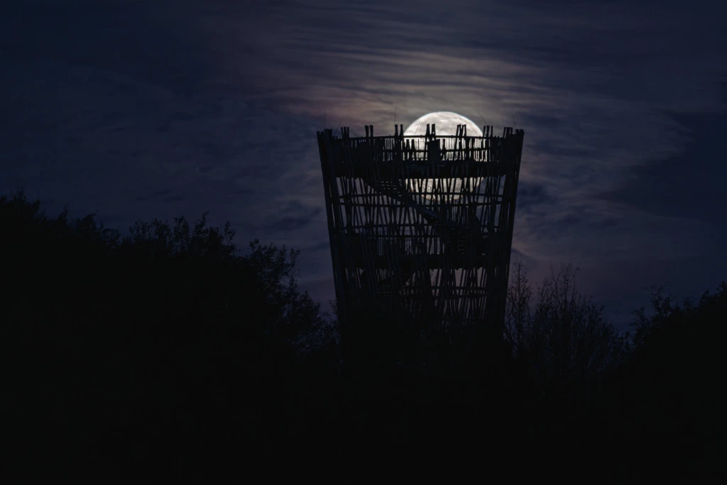 Franziska-Rau_Juebergturm-2_Natur_Wow_Suedwestfalen-Agentur